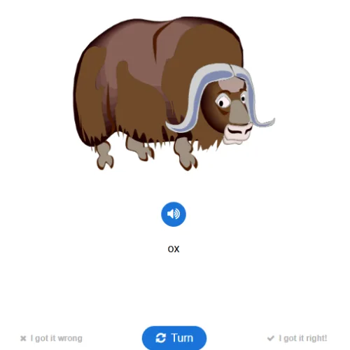Level 2 Unit 1 Y as a Vowel