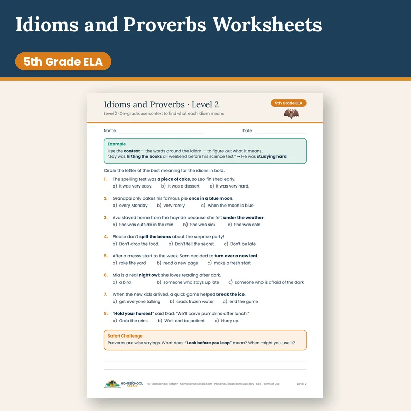 Idioms and Proverbs Worksheets for 5th Grade (3 Levels)
