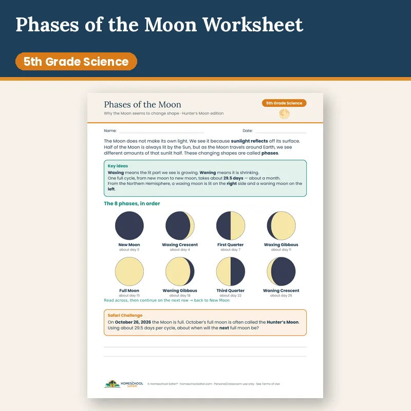 Phases of the Moon Worksheet for 5th Grade (Hunter’s Moon Edition)